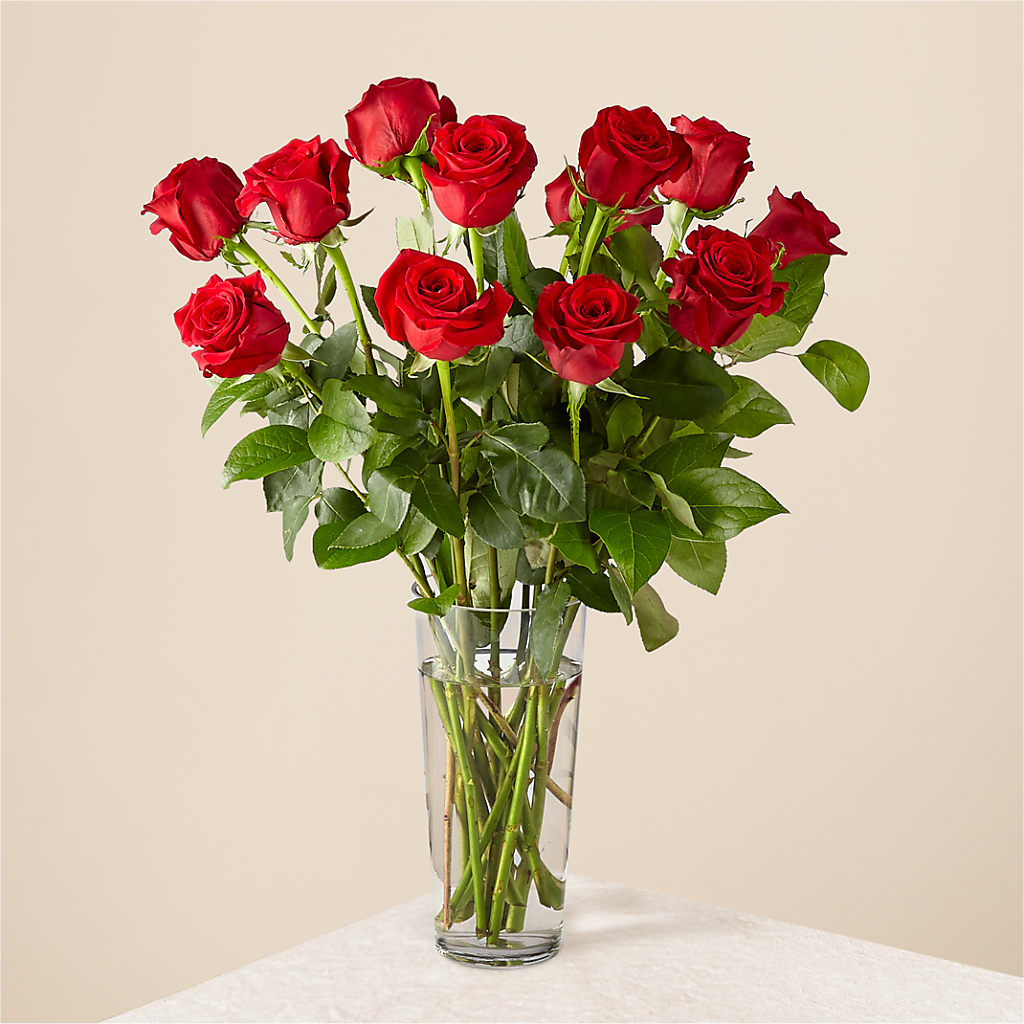 Long Stem Red Rose Bouquet – Alachua Flowers, Alachua FL