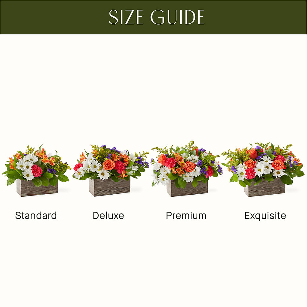 Oopsie Daisy Box Bouquet – Alachua Flowers, Alachua FL