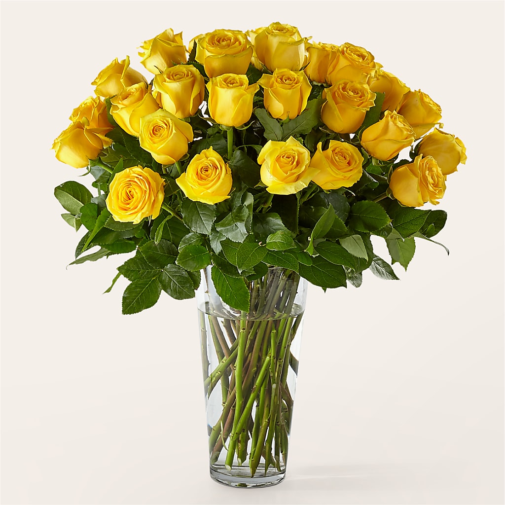 Long Stem Yellow Rose Bouquet – Alachua Flowers, Alachua FL