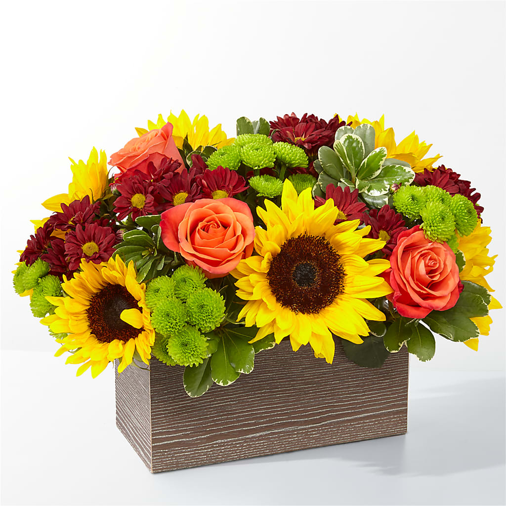 Happy Harvest Garden – Alachua Flowers, Alachua FL