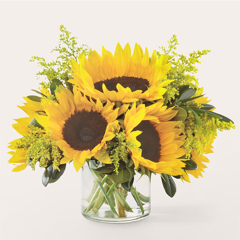 Beaming Sunflower Bouquet – Alachua Flowers, Alachua FL