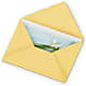 Greeting Card – Alachua Flowers, Alachua FL