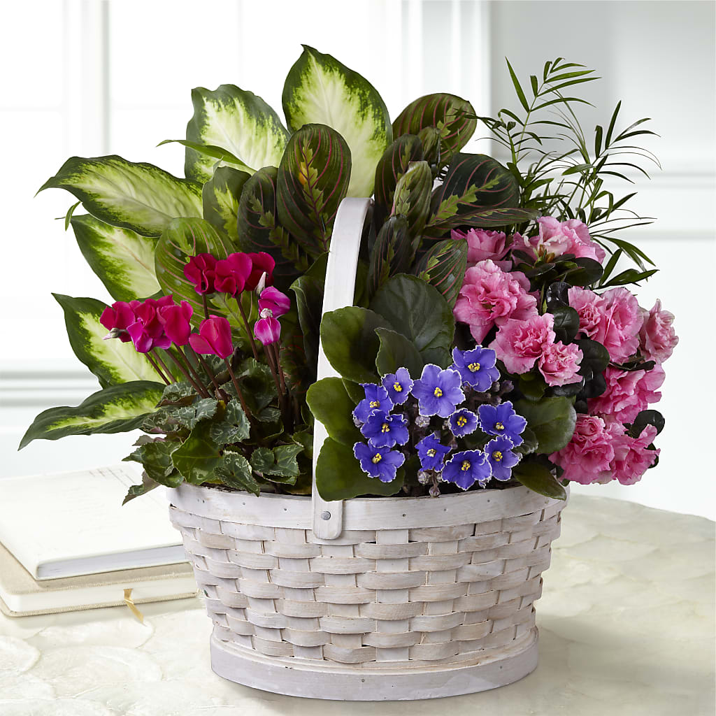 Peaceful Garden Planter – Alachua Flowers, Alachua FL