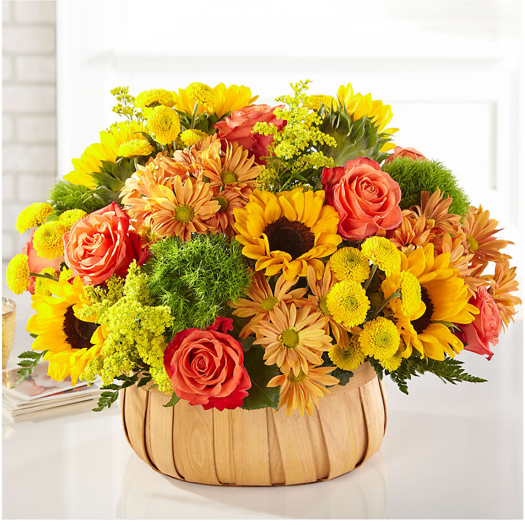 Harvest Sunflower Basket – Alachua Flowers, Alachua FL