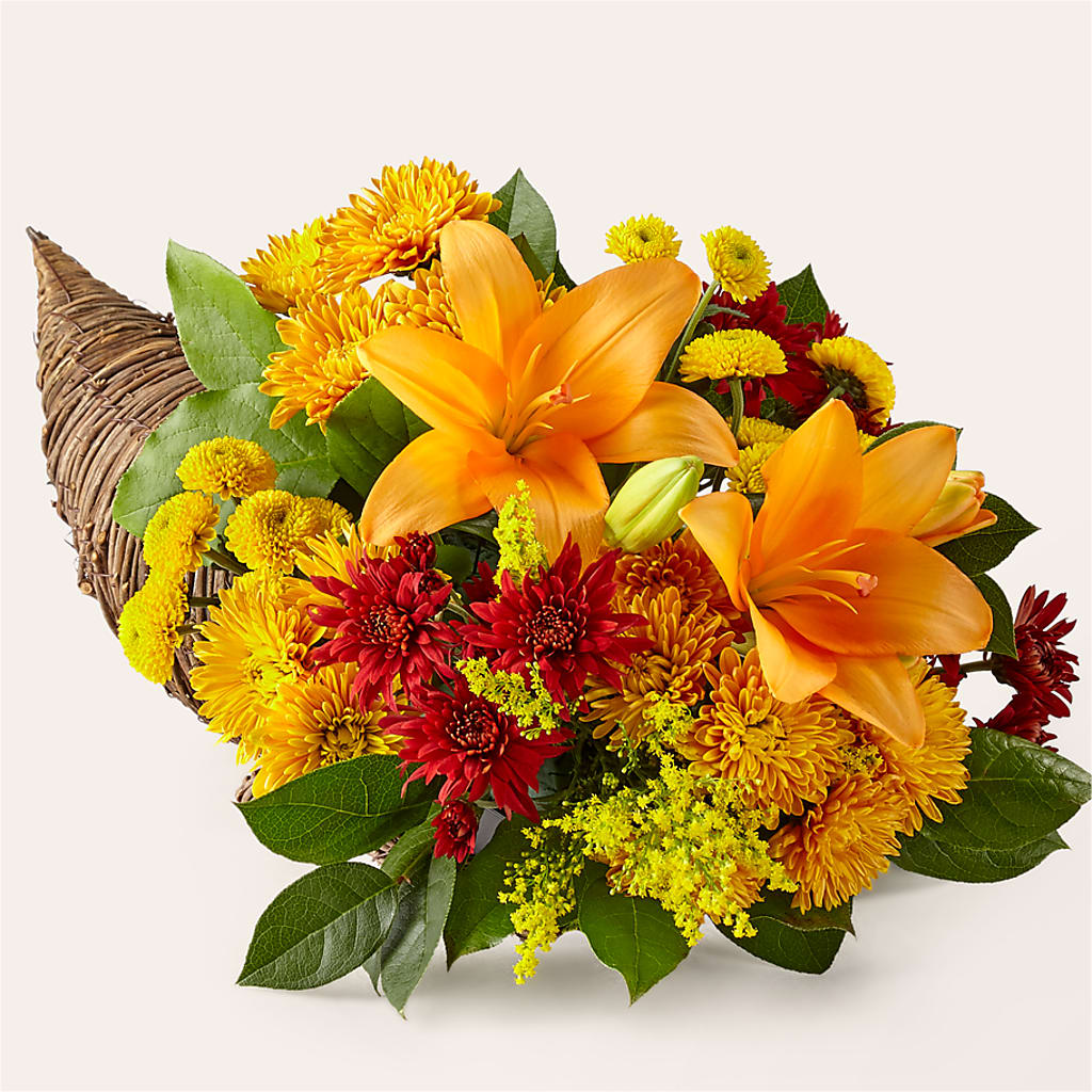 Feast of Color Cornucopia – Alachua Flowers, Alachua FL