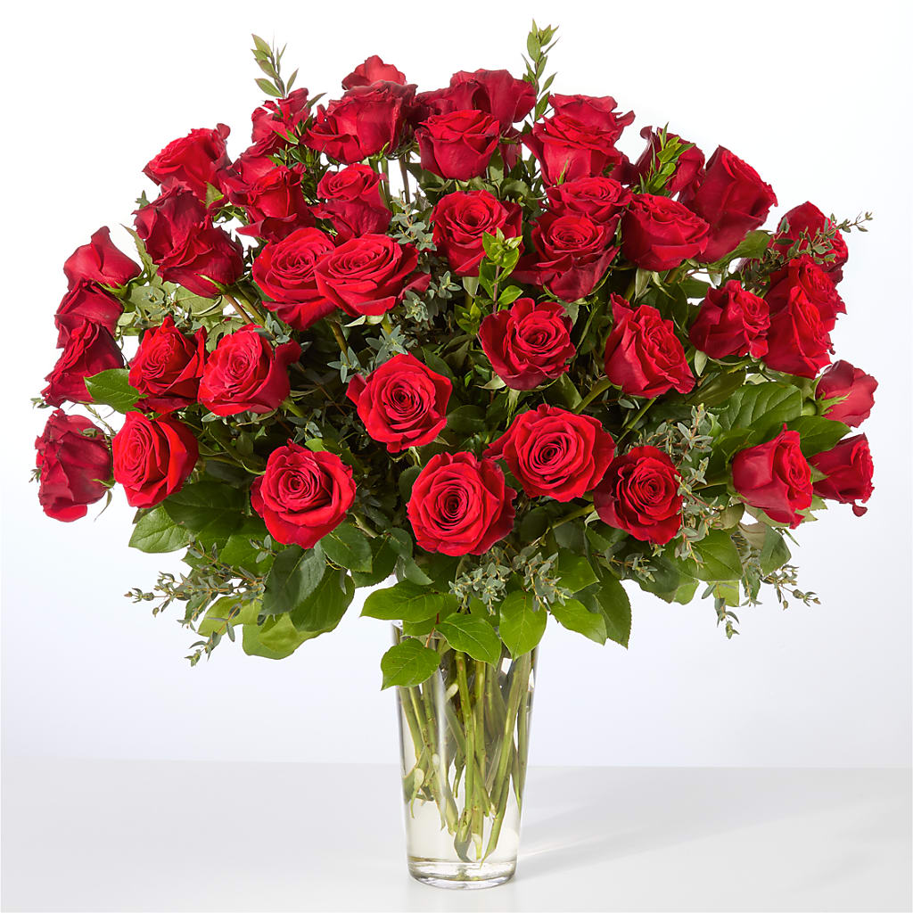 Forever Yours Fifty Stem Red Rose Bouquet – Alachua Flowers, Alachua FL