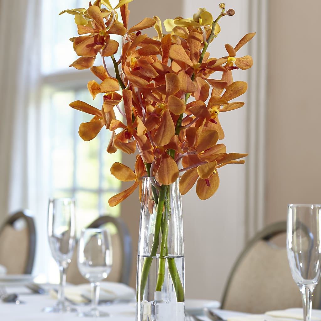 Orange Mokara Bud Vase – Alachua Flowers, Alachua FL