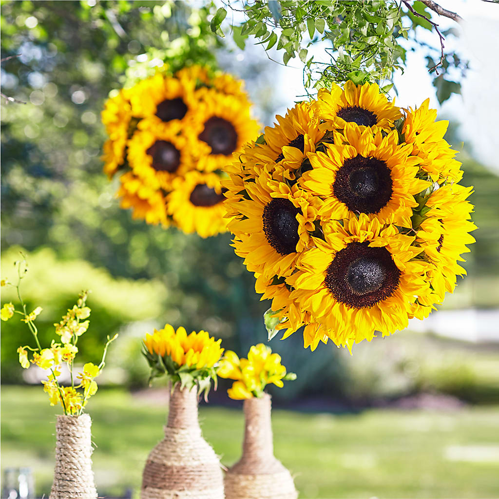 Sublime Garden Hanging Arrangement – Alachua Flowers, Alachua FL