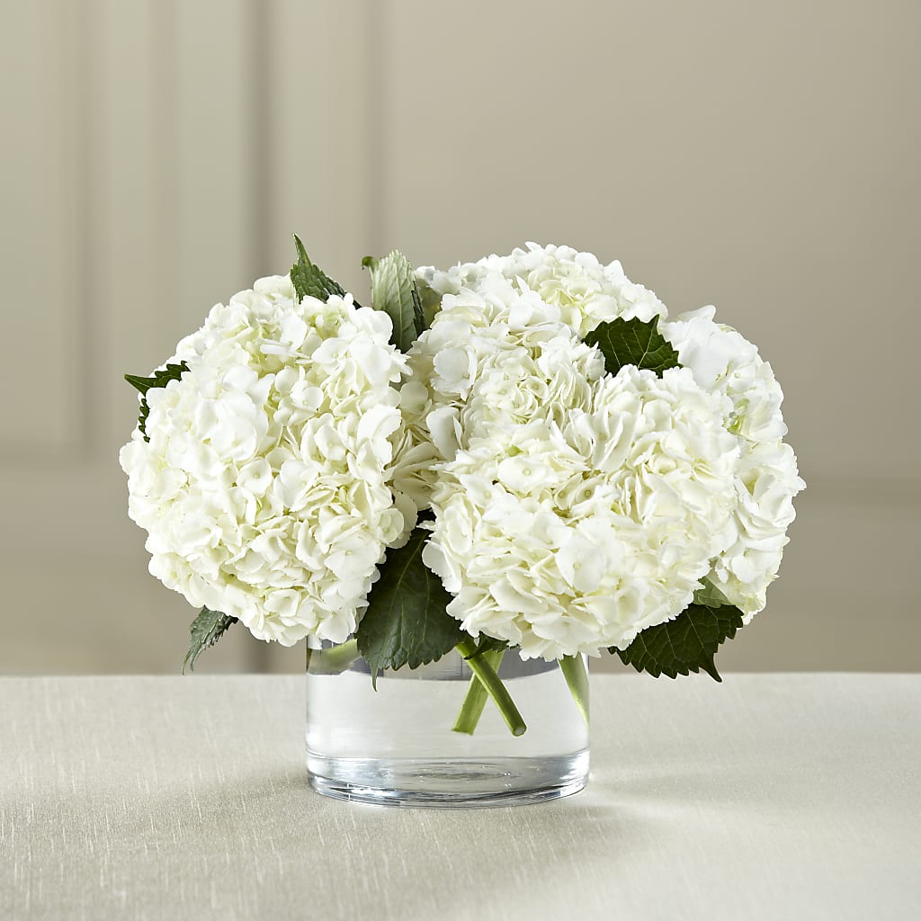White Hydrangea Bouquet – Alachua Flowers, Alachua FL