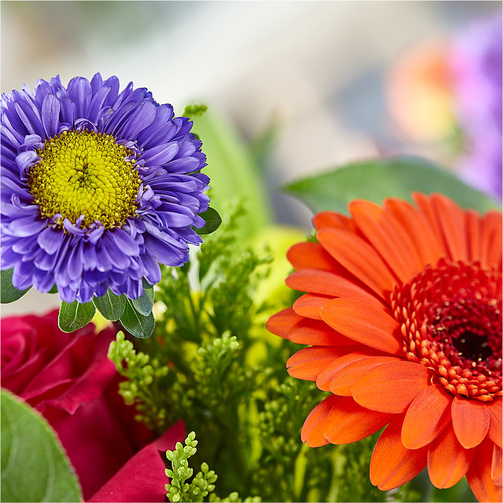 Bold & Bright – A Florist Original –  Alachua Flowers, Alachua FL