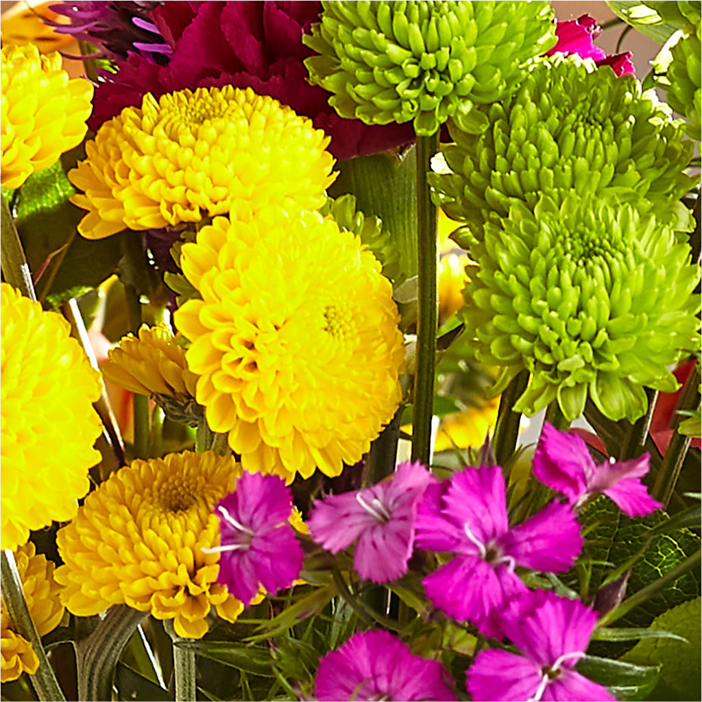 Bold & Bright – A Florist Original –  Alachua Flowers, Alachua FL