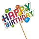 Happy Birthday Pick –  Alachua Flowers, Alachua FL