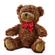 Adorable Plush Bear –  Alachua Flowers, Alachua FL