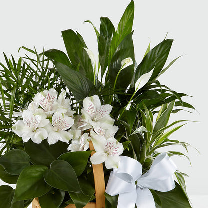 Peace & Serenity Dishgarden –  Alachua Flowers, Alachua FL