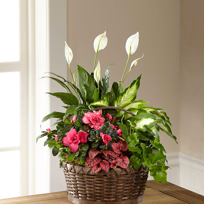 Dream in Pink Dishgarden –  Alachua Flowers, Alachua FL