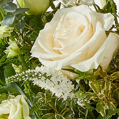 Cashmere Bouquet –  Alachua Flowers, Alachua FL