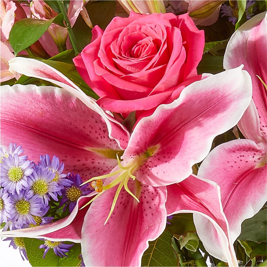 Written in the Stars Bouquet –  Alachua Flowers, Alachua FL