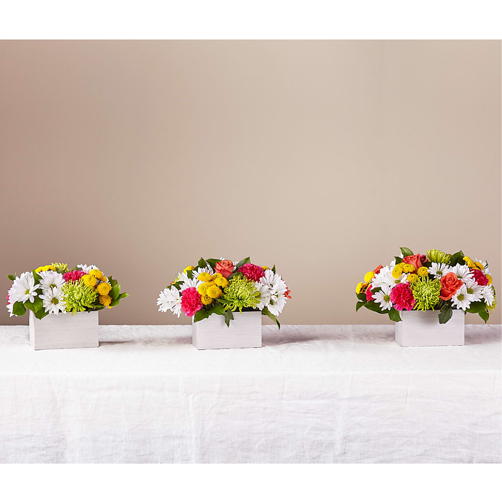 Sorbet Bouquet –  Alachua Flowers, Alachua FL