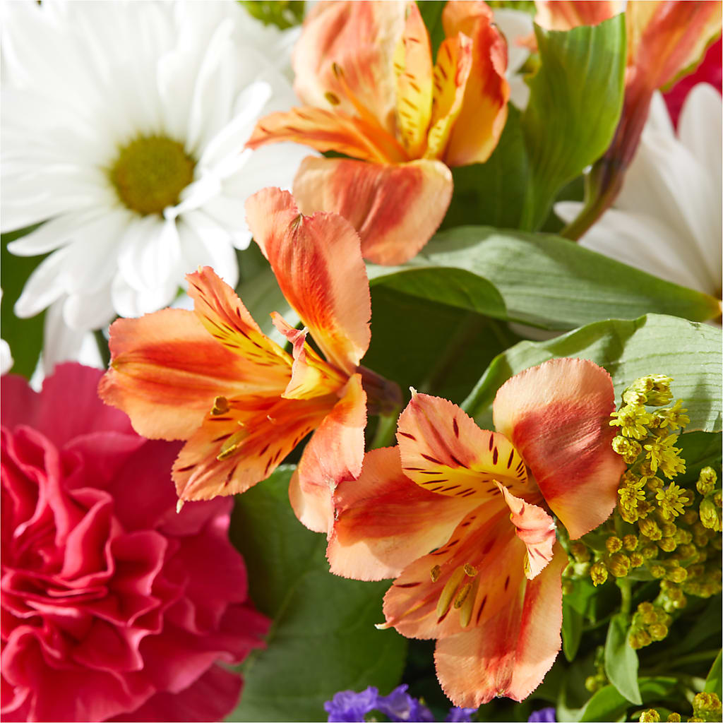 Oopsie Daisy Box Bouquet –  Alachua Flowers, Alachua FL