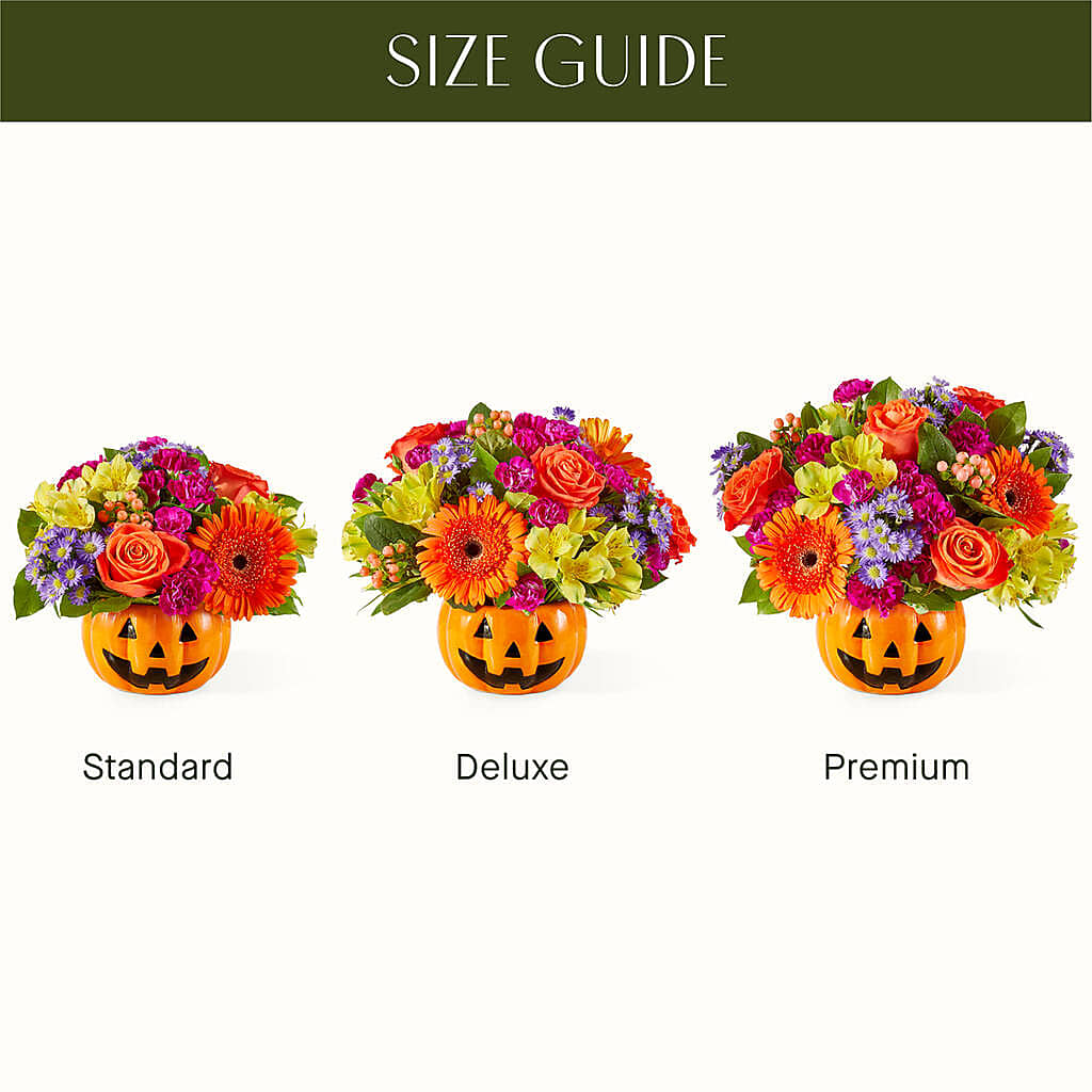 Tricks & Treats Pumpkin –  Alachua Flowers, Alachua FL