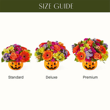 Tricks & Treats Pumpkin –  Alachua Flowers, Alachua FL
