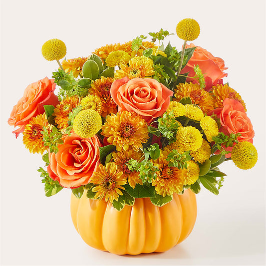 Gourdgeous Pumpkin –  Alachua Flowers, Alachua FL