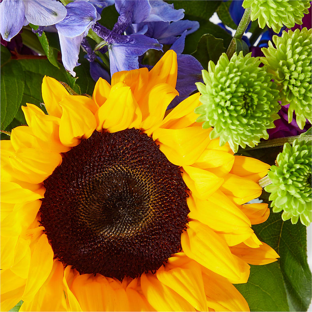Catching Rays Bouquet –  Alachua Flowers, Alachua FL