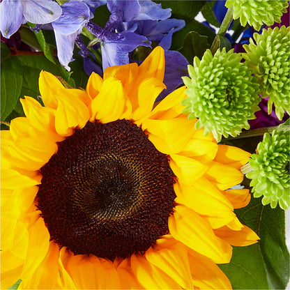 Catching Rays Bouquet –  Alachua Flowers, Alachua FL