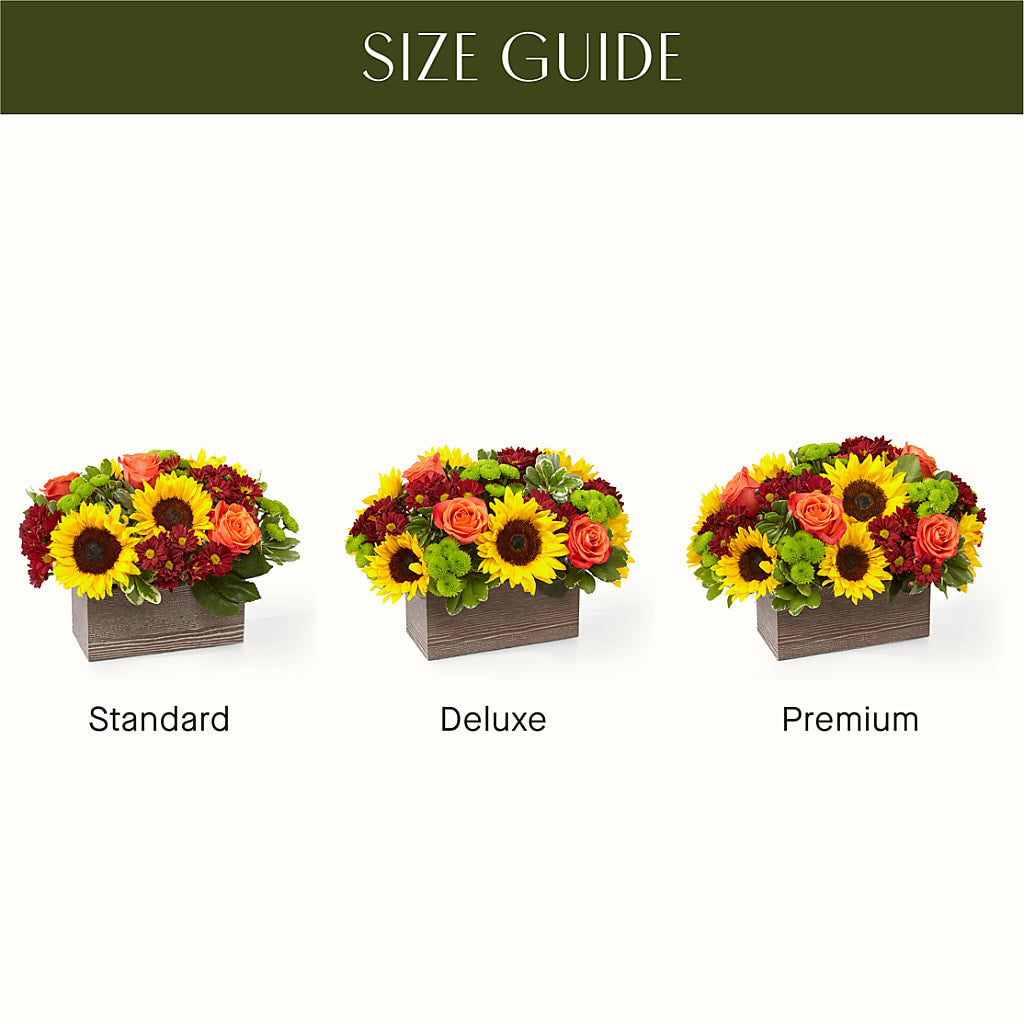 Happy Harvest Garden –  Alachua Flowers, Alachua FL