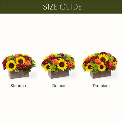 Happy Harvest Garden –  Alachua Flowers, Alachua FL