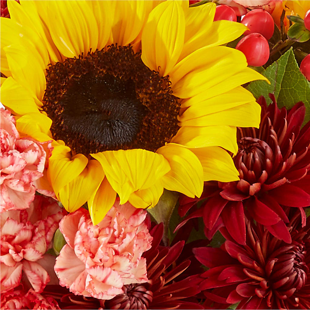 Fresh Cider Bouquet –  Alachua Flowers, Alachua FL