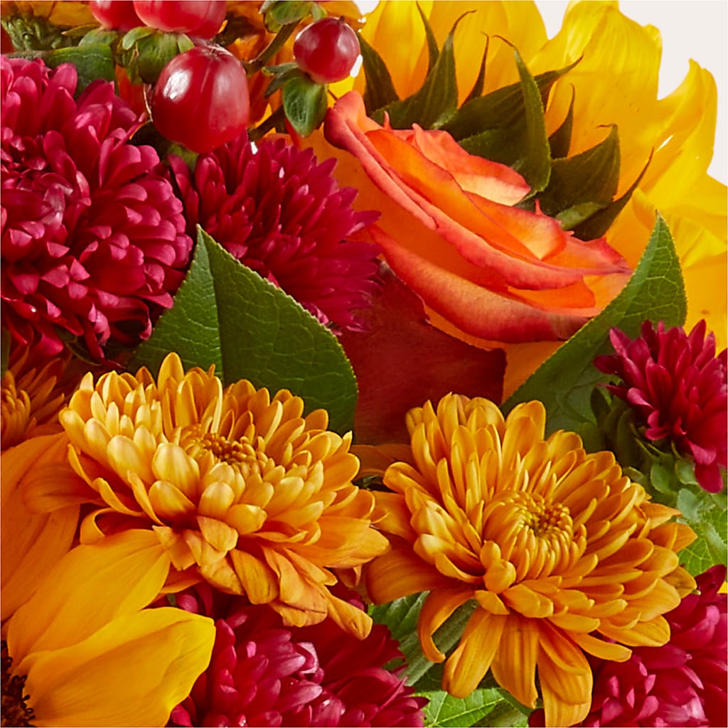 Sweater Season - A Florist Original –  Alachua Flowers, Alachua FL