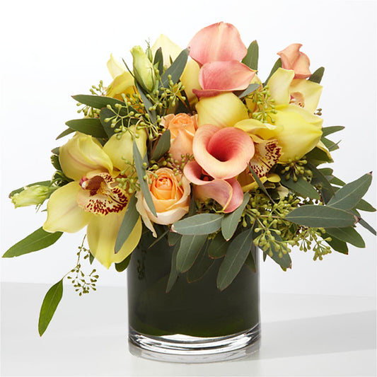 The Visionary –  Alachua Flowers, Alachua FL