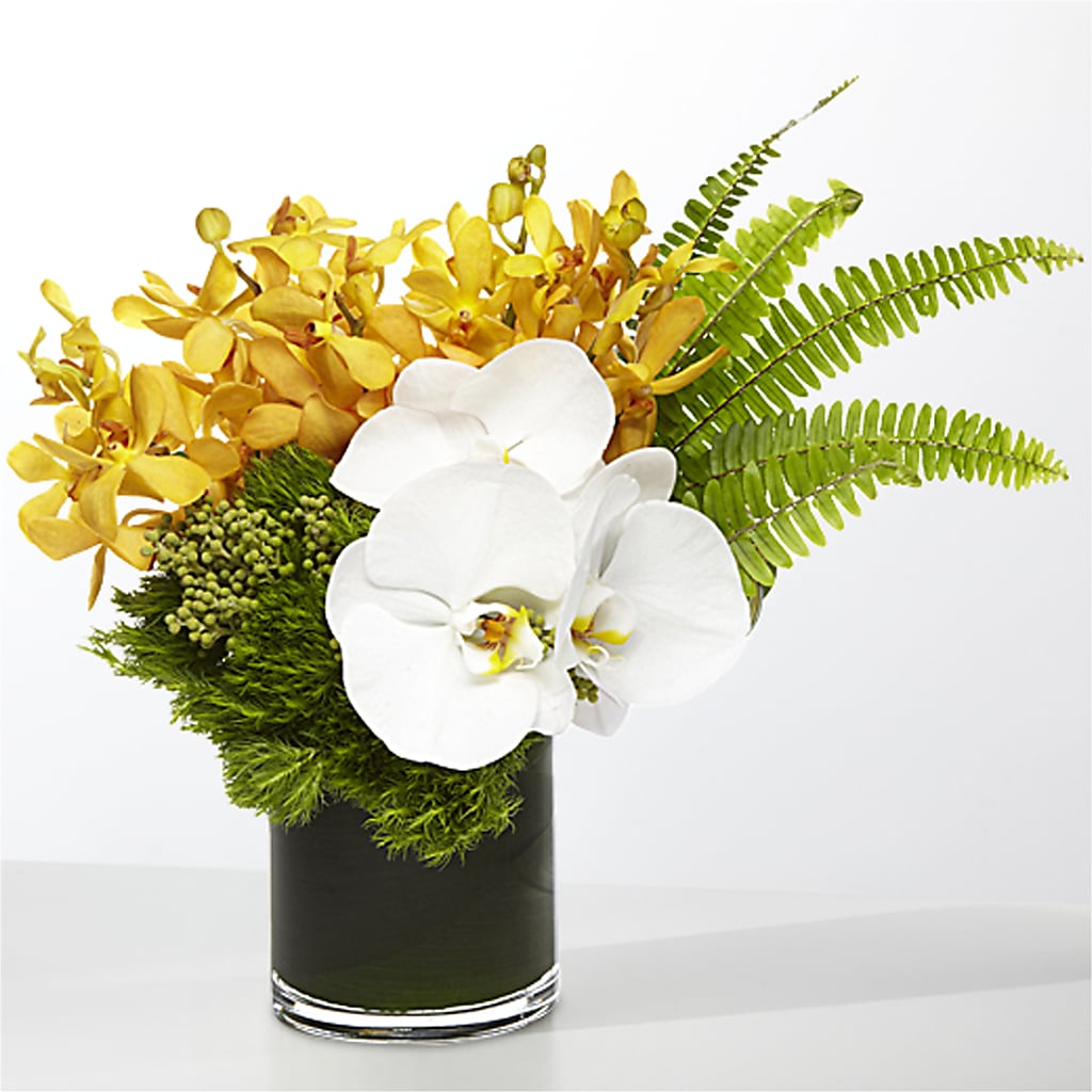 The Tropics –  Alachua Flowers, Alachua FL