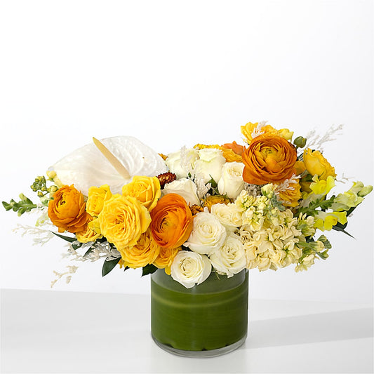 The Optimist –  Alachua Flowers, Alachua FL