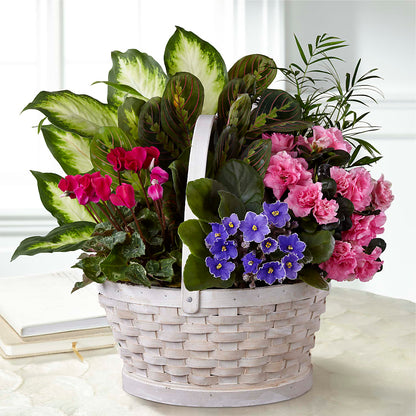 Peaceful Garden Planter –  Alachua Flowers, Alachua FL
