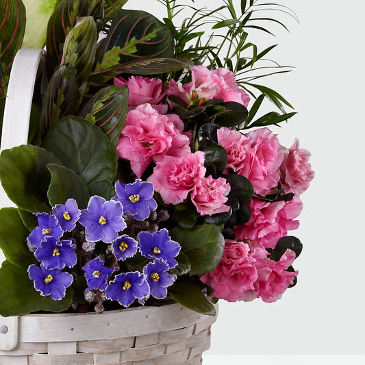 Peaceful Garden Planter –  Alachua Flowers, Alachua FL