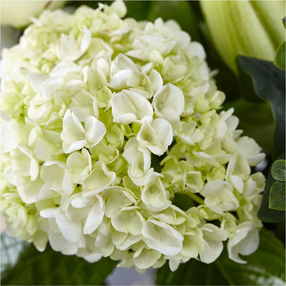 Classic Ivory – A Florist Original –  Alachua Flowers, Alachua FL