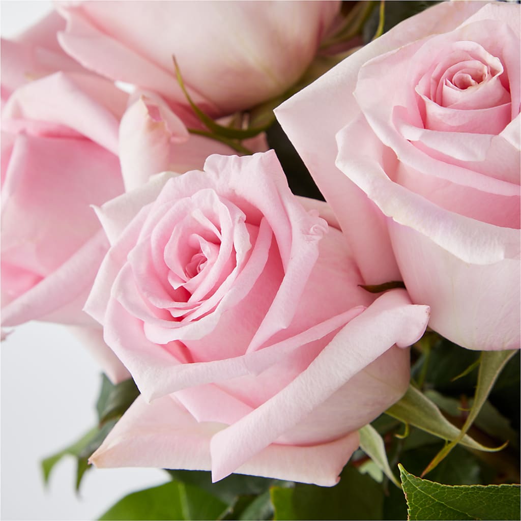 Picture Perfect Pink Rose Bouquet –  Alachua Flowers, Alachua FL