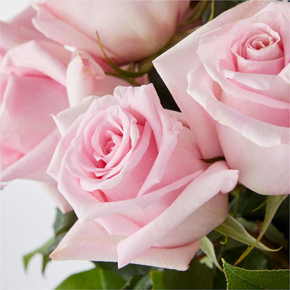 Picture Perfect Pink Rose Bouquet –  Alachua Flowers, Alachua FL