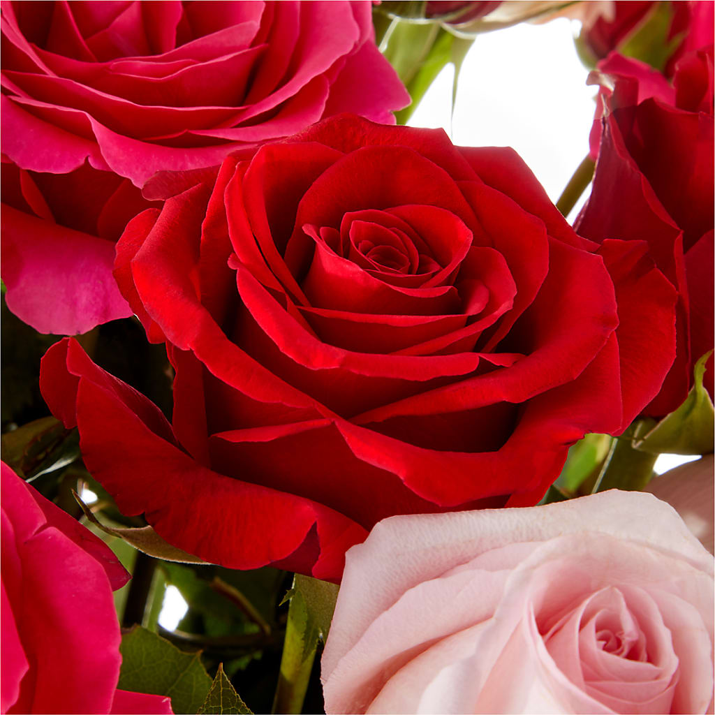 Love Notes Rose Bouquet –  Alachua Flowers, Alachua FL