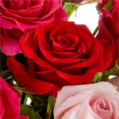Love Notes Rose Bouquet –  Alachua Flowers, Alachua FL