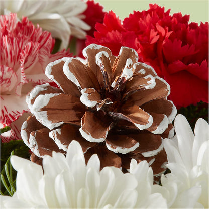 Candy Cane Lane Bouquet –  Alachua Flowers, Alachua FL