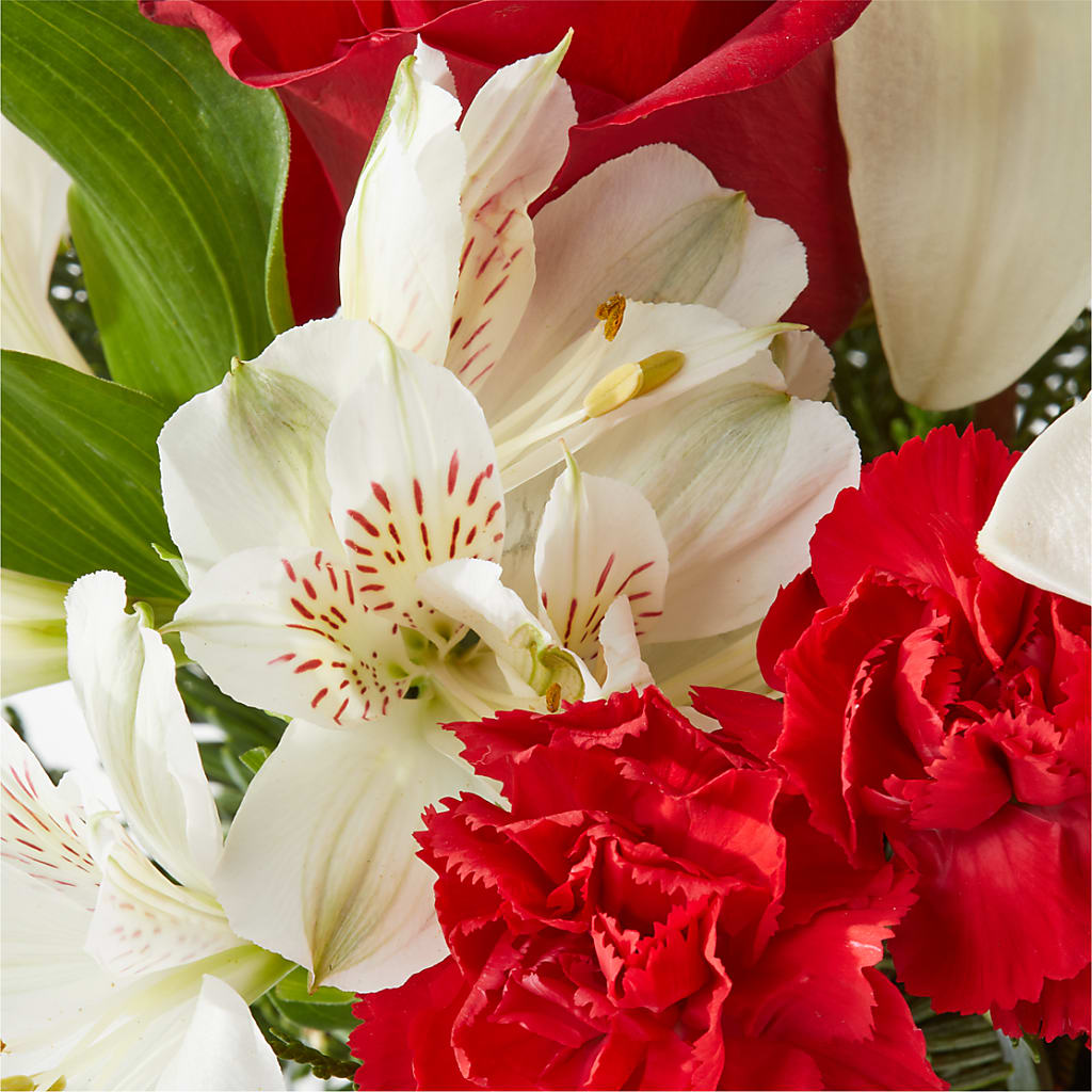 Holiday Season Bouquet –  Alachua Flowers, Alachua FL