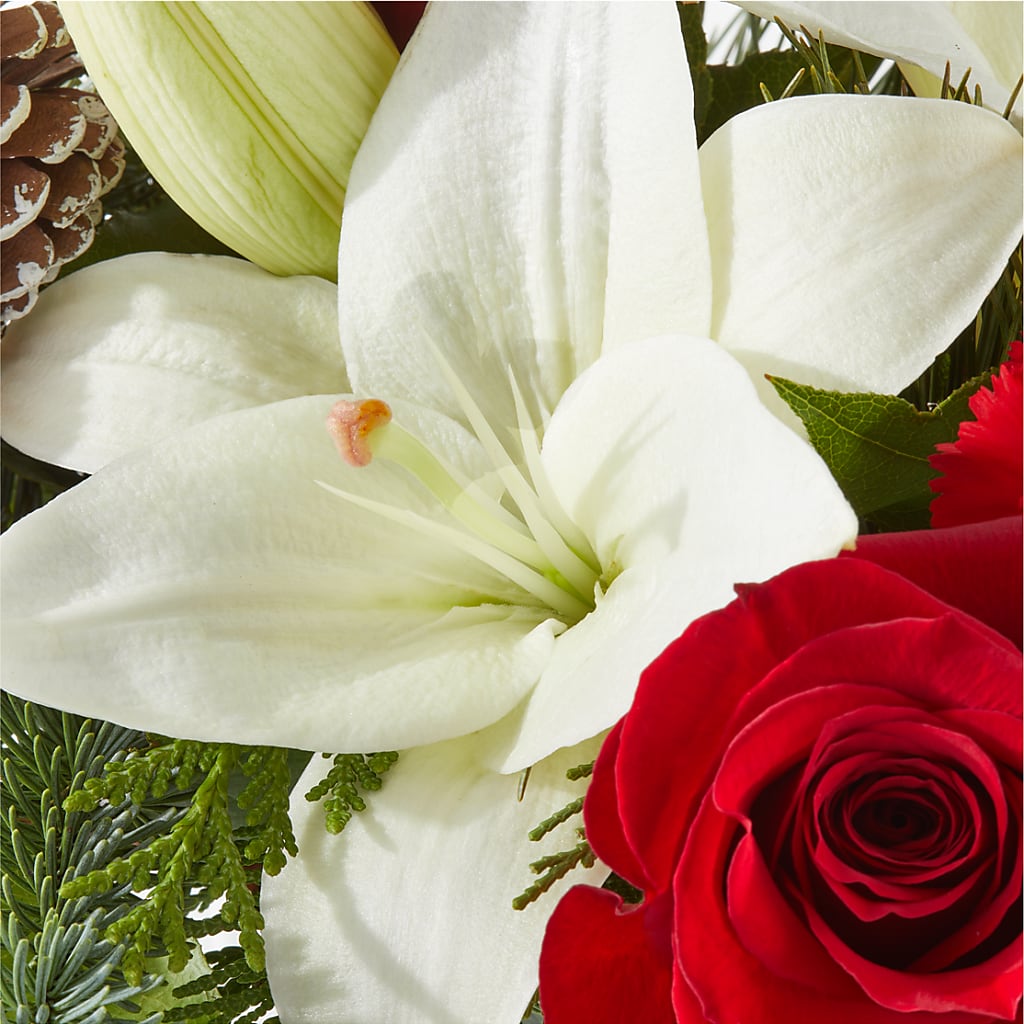Oh So Jolly Bouquet –  Alachua Flowers, Alachua FL