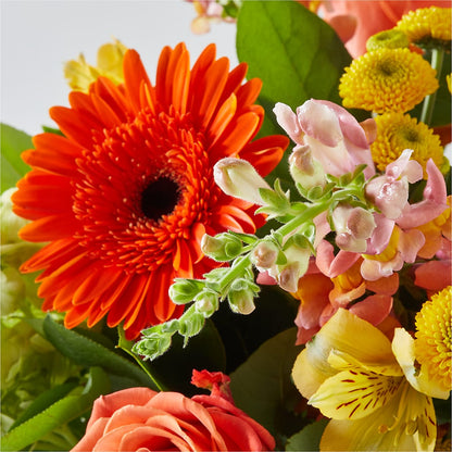 Autumn Sunshine Bouquet –  Alachua Flowers, Alachua FL