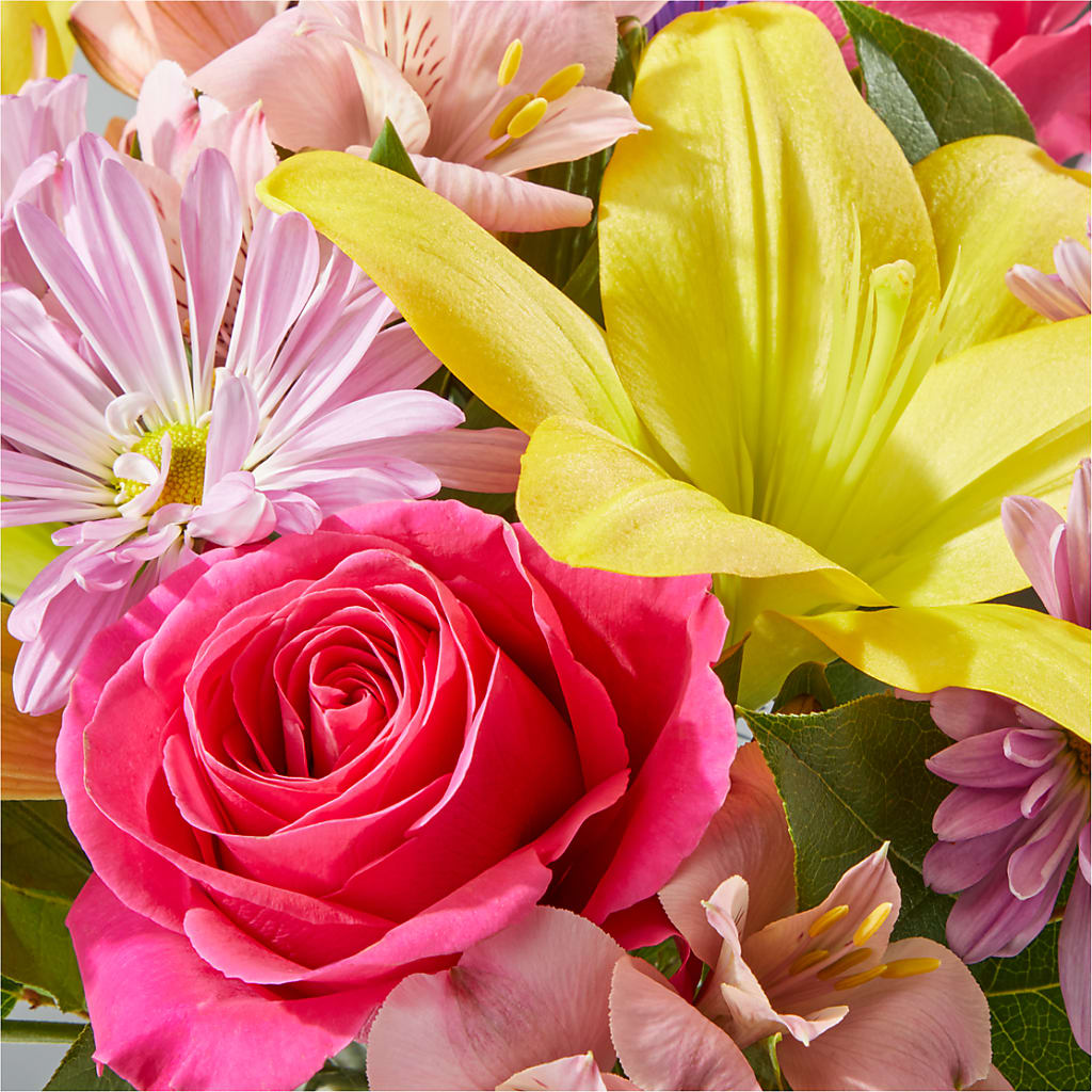 Sprinkles Bouquet –  Alachua Flowers, Alachua FL