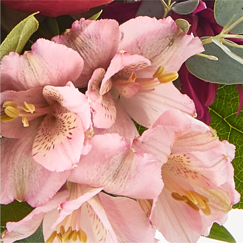Berry Cobbler Bouquet –  Alachua Flowers, Alachua FL