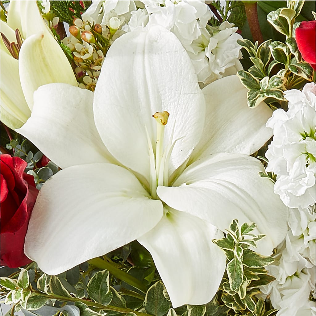 Twinkle Lights Bouquet –  Alachua Flowers, Alachua FL