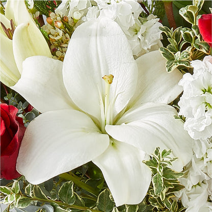 Twinkle Lights Bouquet –  Alachua Flowers, Alachua FL